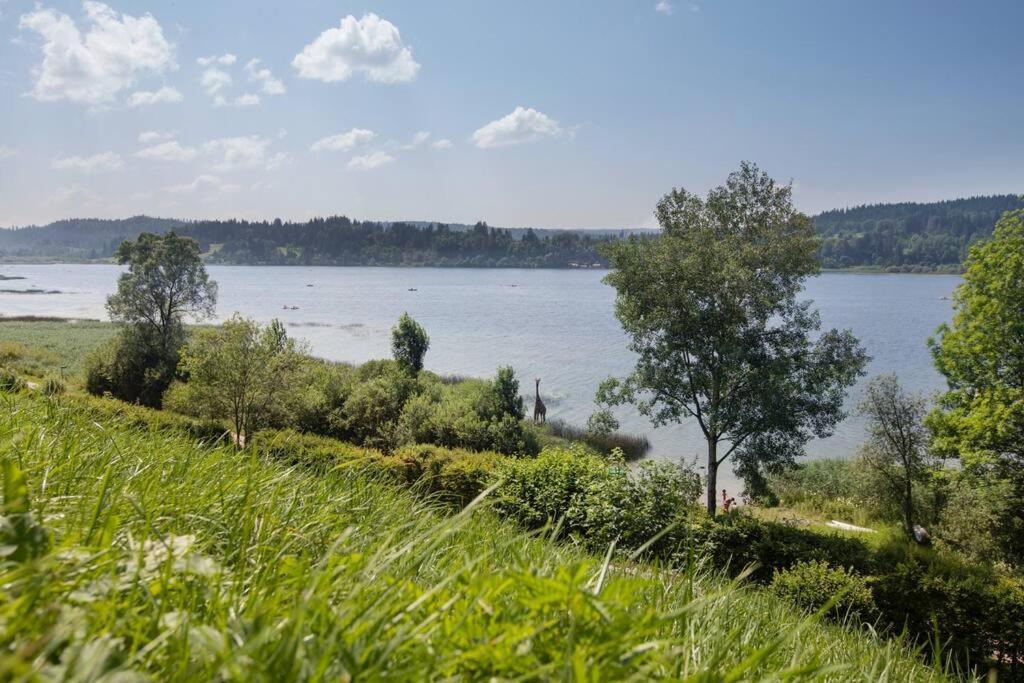 Duplex Le Reflet Du Lac マルビュイッソン エクステリア 写真